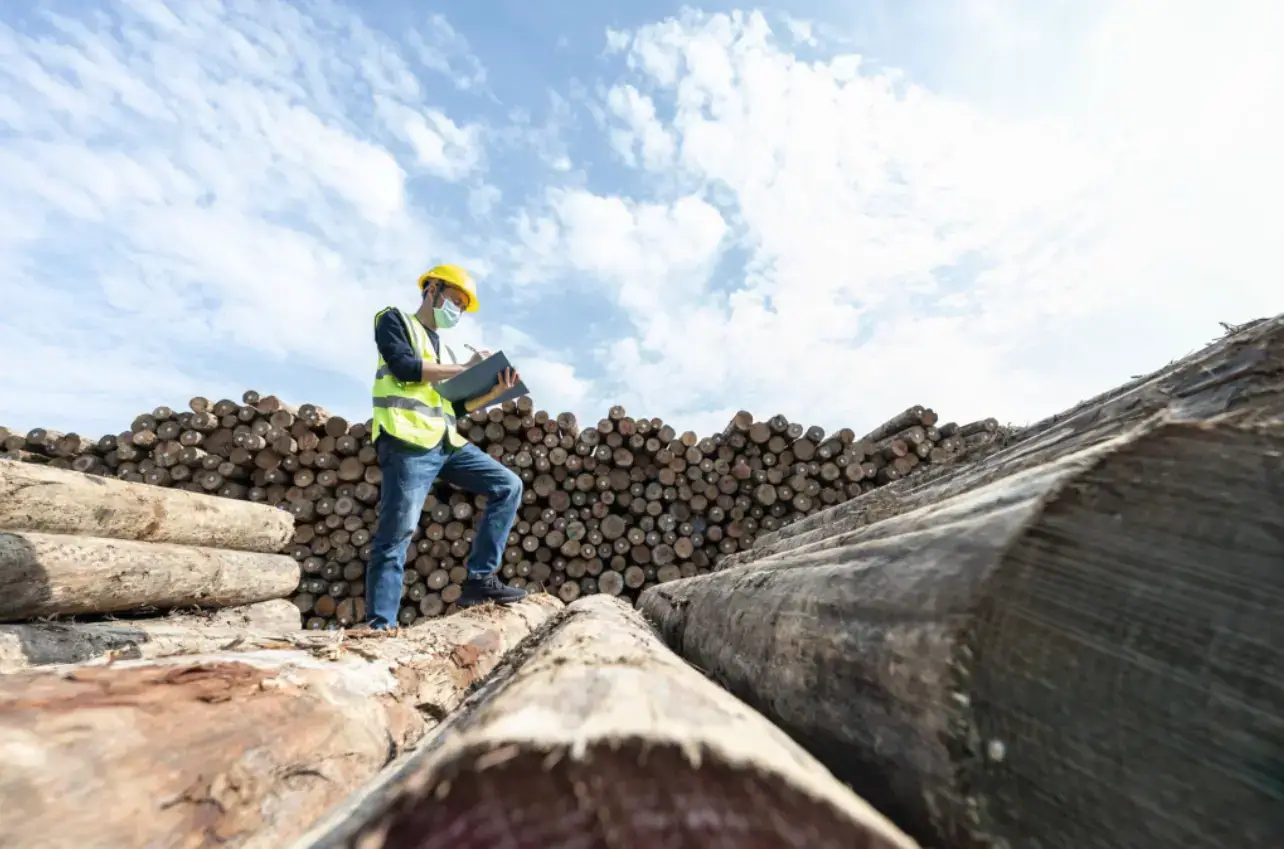 Team reviewing logs and documentation in a yard