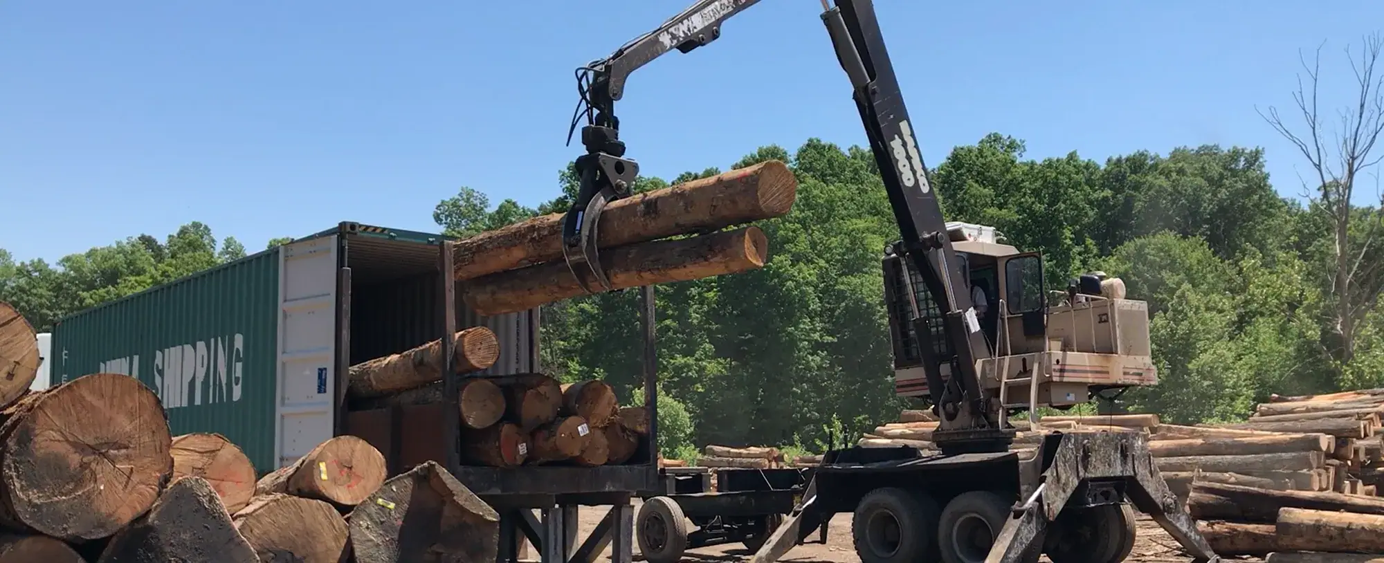 Oaple procurement team inspecting logs at origin